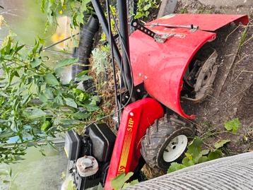 Tuinfrees beschikbaar voor biedingen