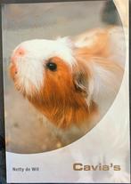 Netty de wit cavia's boek cavia, Boeken, Ophalen of Verzenden, Zo goed als nieuw, Konijnen of Knaagdieren, Netty de wit