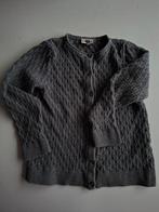 Leuk grijs vest van Pomp de Lux, Gebruikt, Meisje, Trui of Vest, Ophalen of Verzenden