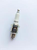 Volvo 544 210 Amazon 142 144 145 164 240 Bougie NGK BP6HS, Nieuw, Ophalen of Verzenden, Volvo, Volvo