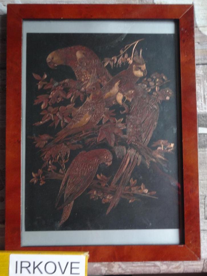 PAPEGAAIEN EN PARKIETEN * Koperwerk *, Antiek en Kunst, Kunst | Etsen en Gravures, Verzenden