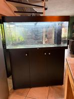 Aquarium Juwel 180, Ophalen, Zo goed als nieuw, Leeg aquarium