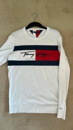 Tommy Hilfiger trui maat 176, Trui of Vest, Ophalen of Verzenden, Jongen, Tommy Hilfiger