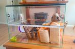 Compleet glazen knaagdieren verblijf, Dieren en Toebehoren, Kooi, Gebruikt, Hamster, 75 tot 110 cm