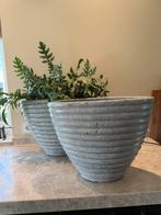 PTMD grote ovale potten, Ophalen, Zo goed als nieuw, Ovaal, Steen of Aardewerk