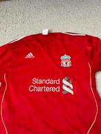 Fernando Torres shirt Liverpool maat M, Ophalen of Verzenden, Zo goed als nieuw, Shirt