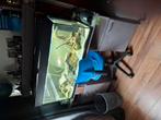 Wegens te weinig tijd te koop mooi aquarium met Malawi's, Dieren en Toebehoren, Ophalen, Gebruikt, Gevuld zoetwateraquarium