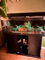 Aquarium, Ophalen, Gebruikt