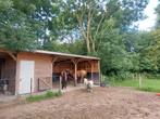 Pension plekje beschikbaar, Dieren en Toebehoren, Stalling en Weidegang