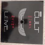 The Cult/Indie/Alternative/Rock, Cd's en Dvd's, Vinyl | Rock, Ophalen of Verzenden, Gebruikt, 12 inch, Alternative