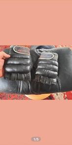 Vechtsport handschoenen, Ophalen of Verzenden