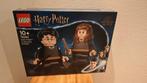 Lego 76393 Harry Potter en Hermelien, Ophalen of Verzenden, Nieuw, Complete set, Lego