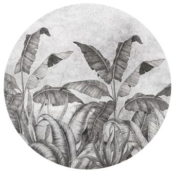 Wanddecoratie Behangcirkel Muursticker Bananenplant bladeren beschikbaar voor biedingen