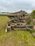 Te koop. Openhaardhout ongeveer 7 m3, Tuin en Terras, Haardhout, 6 m³ of meer, Ophalen, Essenhout, Stammen