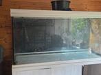 Aqualantis Aquarium  Met veel extra s, Dieren en Toebehoren, Ophalen, Zo goed als nieuw, Gevuld zoetwateraquarium