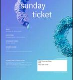 Zondag ticket: Open Air, Tickets en Kaartjes, Evenementen en Festivals, Eén persoon