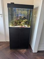 Te koop zoutwater zeeaquarium 200 liter, Dieren en Toebehoren, Ophalen, Gebruikt