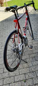 Racefiets Focus, Gebruikt, 10 tot 15 versnellingen, Aluminium, 53 tot 57 cm