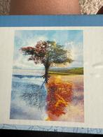 Schilderen op nummers canvas plus frame - 4 seasons, Hobby en Vrije tijd, Schilderen, Ophalen of Verzenden, Nieuw