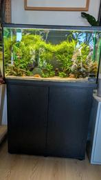Aquarium Eheim 128l als nieuw, Dieren en Toebehoren, Ophalen, Zo goed als nieuw, Leeg aquarium