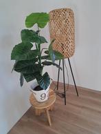 Staande lamp in naturel kleur, Huis en Inrichting, Lampen | Vloerlampen, Ophalen of Verzenden, Zo goed als nieuw, 150 tot 200 cm