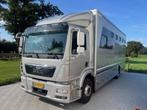 MAN Paardenvrachtwagen voor 5 paarden met living, Te koop, Zilver of Grijs, Stof, Automaat