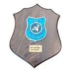 Wapenschild Commandant Dutchbatt Unifil Libanon, Verzamelen, Militaria | Algemeen, Ophalen of Verzenden, Landmacht, Nederland
