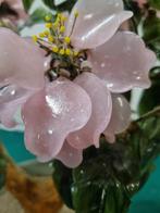 bonsai van glas jade vintage in cleadon pot groot, Huis en Inrichting, Ophalen of Verzenden, 'T Olde Gre-j, Info@toldegrej.nl