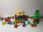 Duplo 10582 Bosdieren, Ophalen of Verzenden, Gebruikt, Duplo