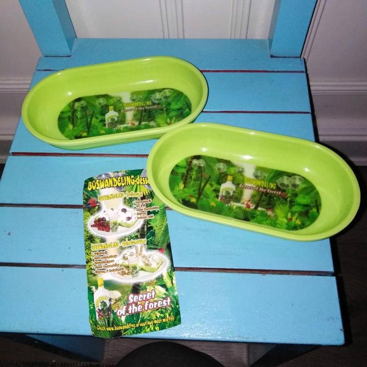 Boswandeling Secret of the Forest dessert schaaltjes 2 stuks, Huis en Inrichting, Keuken | Servies, Zo goed als nieuw, Schaal of Schalen