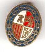 Knoopspeld ovaal keten, Verzamelen, Speldjes, Pins en Buttons, Verzenden, Zo goed als nieuw