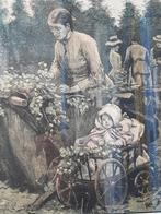 Hop garden mooie antieke ingelijste Engelse gravure uit 1884, Antiek en Kunst, Kunst | Etsen en Gravures, Ophalen of Verzenden