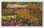 Lisse Keukenhof Oude gelopen Ansichtkaart (B3287 ), Ophalen of Verzenden, 1940 tot 1960, Gelopen