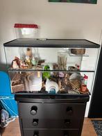 Hamsterterrarium met toebehoren, Kooi, Gebruikt, Hamster, 75 tot 110 cm