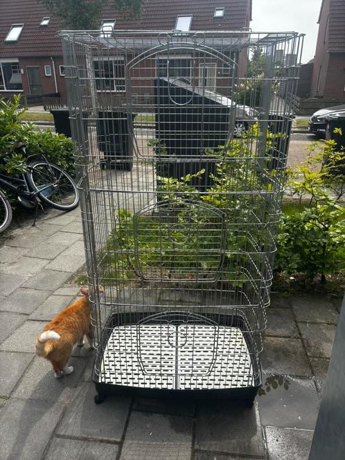 Knaagdieren kooi/Rattenkooi, Dieren en Toebehoren, Knaagdieren en Konijnen | Hokken en Kooien, Gebruikt, Kooi, 90 cm of meer, Minder dan 75 cm