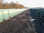 Maisbalen 1.20  x1.20  ,    snijmais  oogst 2025, Dieren en Toebehoren, Dierenvoeding, Ophalen of Verzenden, Vee