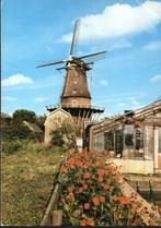 (NH003) Ansichtkaart Aalsmeer molen De Leeuw 1979, Verzenden, 1960 tot 1980, Gelopen, Noord-Holland
