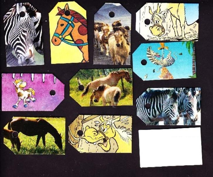 0018) paarden, ezels en zebra's labeltjes, Verzamelen, Dierenverzamelingen, Zo goed als nieuw, Overige typen, Paard, Ophalen of Verzenden