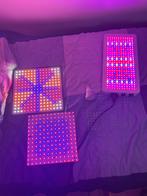 LED Kweeklampen Set - Groei & Bloei, Tuin en Terras, Ophalen, Zo goed als nieuw, Kweeklamp