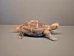 Uniek ! Schildpad gemaakt van Veren, Antiek en Kunst, Kunst | Niet-Westerse kunst, Ophalen of Verzenden