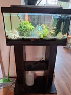 Tetra Aquarium te koop, Ophalen, Gebruikt, Gevuld zoetwateraquarium