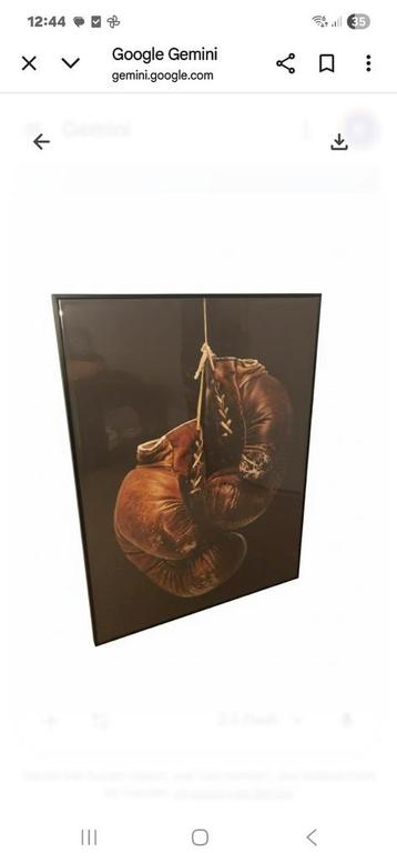 Kickbokshandschoenen in Lijst - Nostalgisch beschikbaar voor biedingen