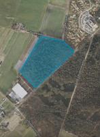 Bosgrond Haarle (Ov.) – 4,75 ha – €374.000 k.k., Huizen en Kamers, Kavels en Percelen, HELLENDOORN, Verkoop zonder makelaar, 1500 m² of meer