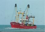 Scheepvaart- -Vissersboot., Verzenden, 1980 tot heden, Ongelopen, Overige thema's