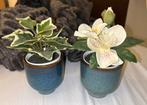 2 kunstplantjes met mooie potjes bij!, Huis en Inrichting, Kamerplanten, Ophalen of Verzenden, Volle zon, Minder dan 100 cm