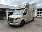 Mercedes Sprinter Automaat Sodiak Nubia Hengstenuitvoering, Dieren en Toebehoren, Ophalen, Zo goed als nieuw, Polyester, 2-paards trailer