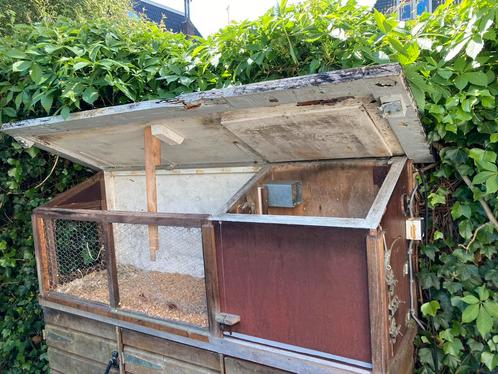 GRATIS: caviahok voor buiten, Dieren en Toebehoren, Knaagdieren en Konijnen | Hokken en Kooien, Gebruikt, Hok, 60 tot 90 cm, 110 cm of meer