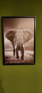 Olifant Foto Print in Lijst, Huis en Inrichting, Woonaccessoires | Schilderijen, Tekeningen en Foto's, 50 tot 75 cm, Ophalen of Verzenden