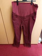 bordeaux rode broek met buikband 119 cm., broek zelf 95 cm., Kleding | Dames, Positiekleding, Maat 46/48 (XL) of groter, Ophalen of Verzenden