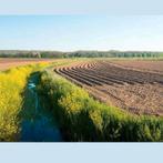 Gezochtt!!Landbouwgrond  in Regio Twente - 0.5 Hectare, 33 - 40 uur, Overige vormen